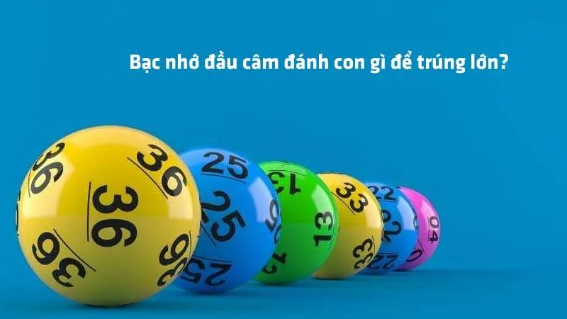 Bạc nhớ đầu câm đánh con gì để trúng lớn?